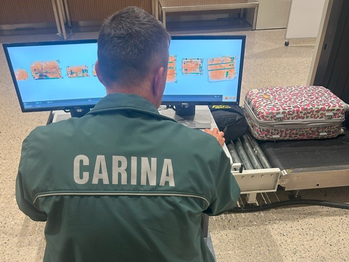 Carinik na letališču Jožeta Pučnika.